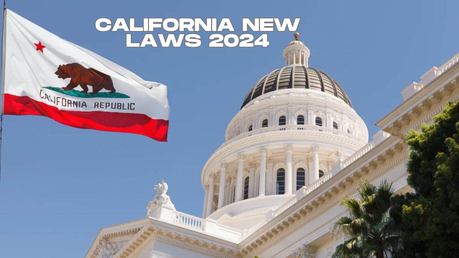 California's New Laws How They'll Impact Your Daily Life